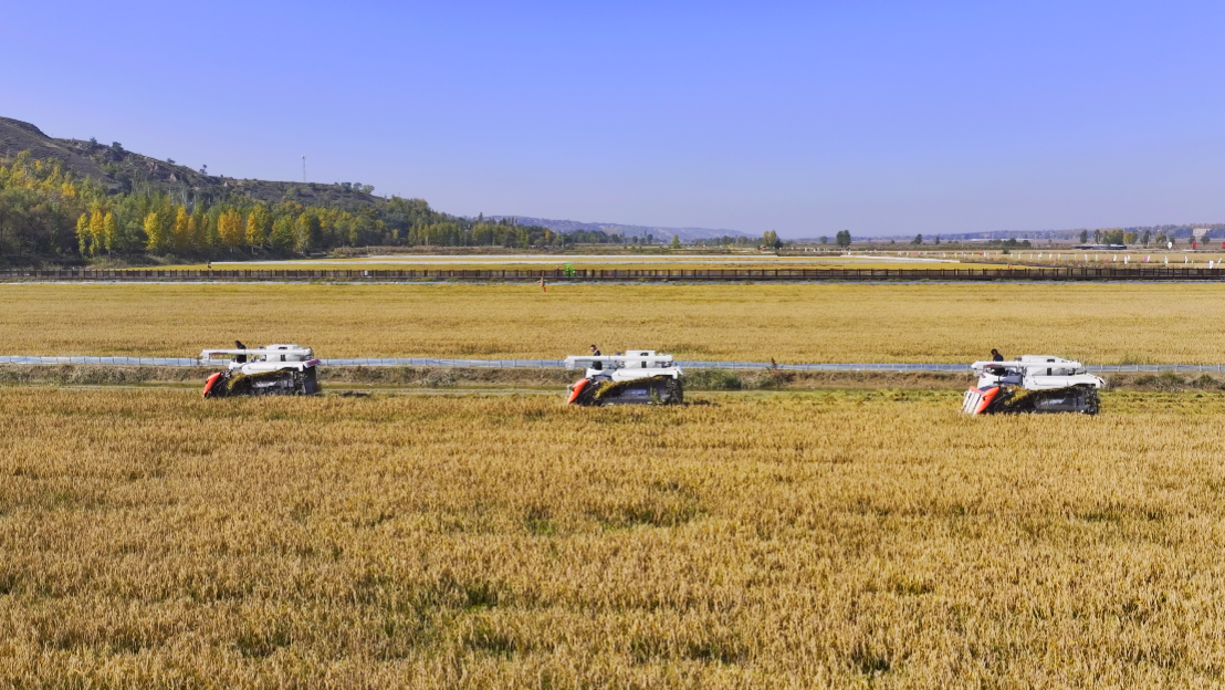 ff26617416d9dc5778b103b8e02989f