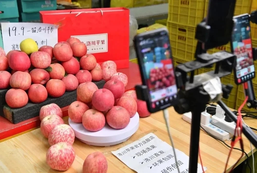 图示, 示意图 中度可信度描述已自动生成