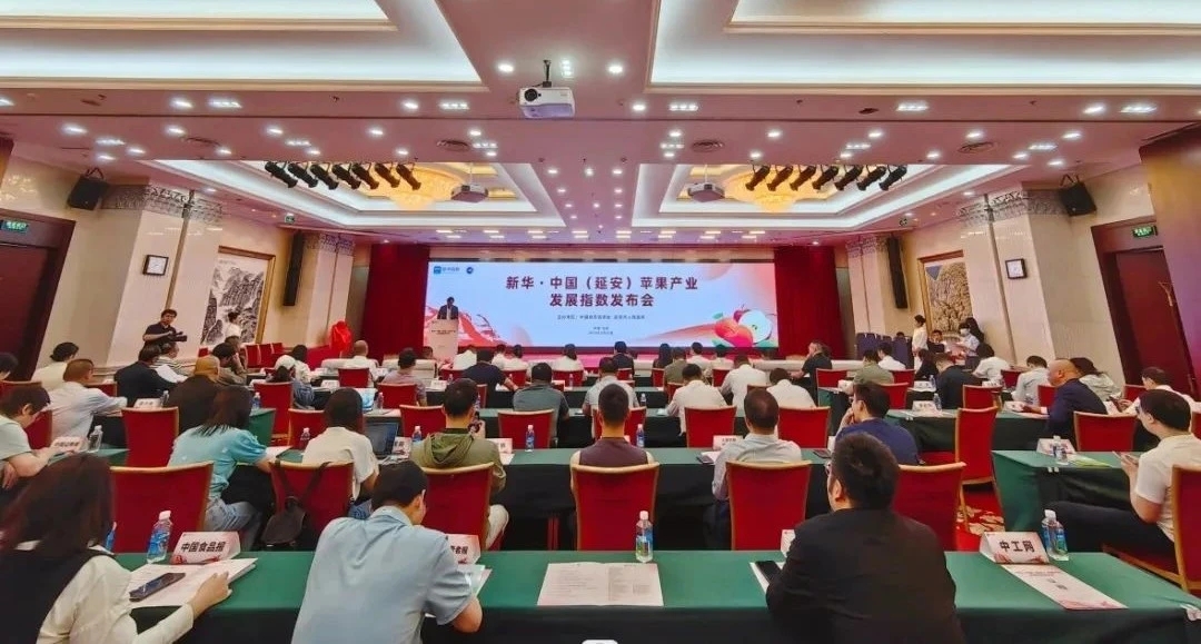 图示, 示意图 中度可信度描述已自动生成