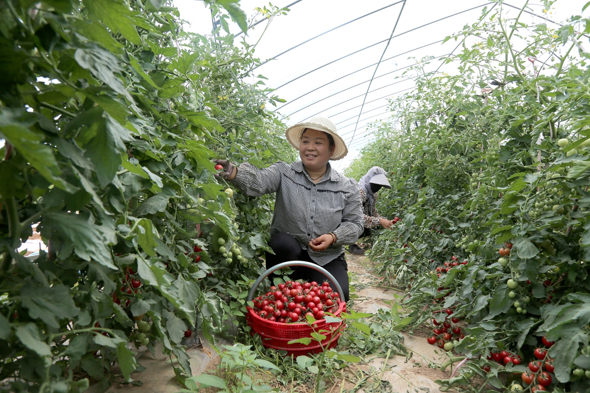 图示, 示意图

中度可信度描述已自动生成