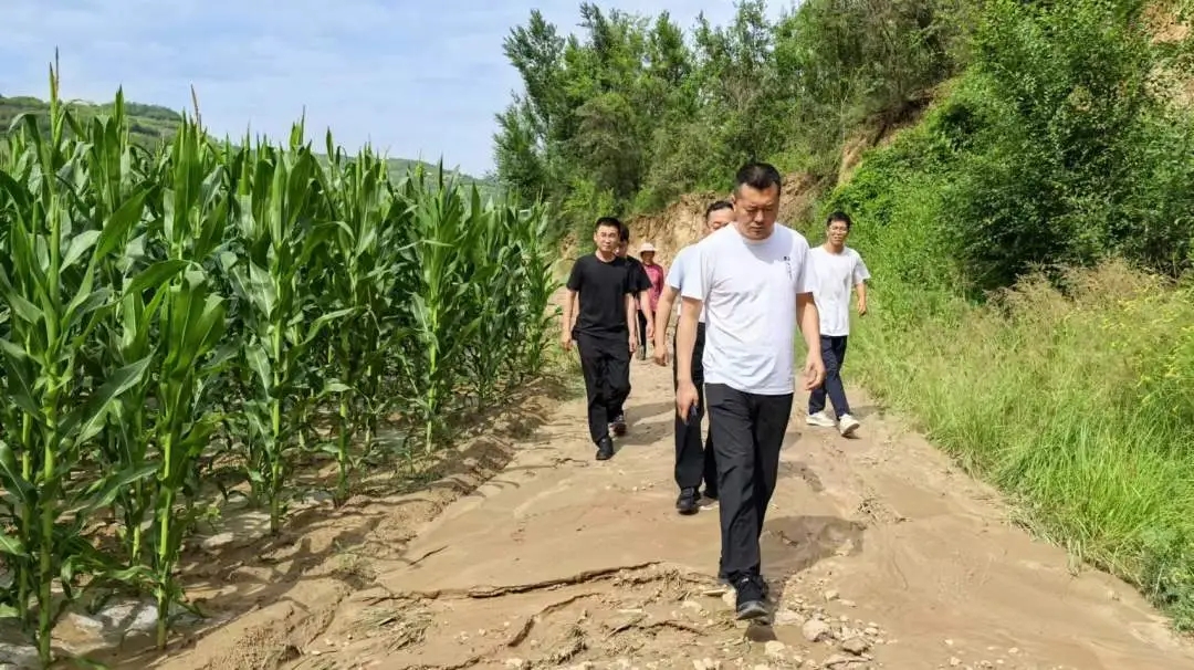 图示, 示意图

中度可信度描述已自动生成