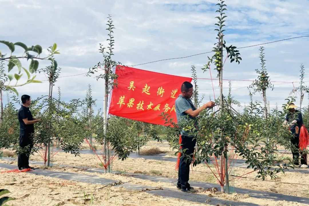 图示, 示意图

中度可信度描述已自动生成