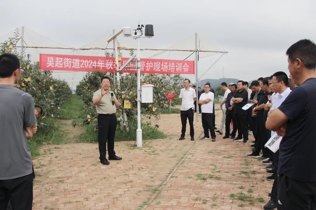 图示, 示意图

中度可信度描述已自动生成:ver1