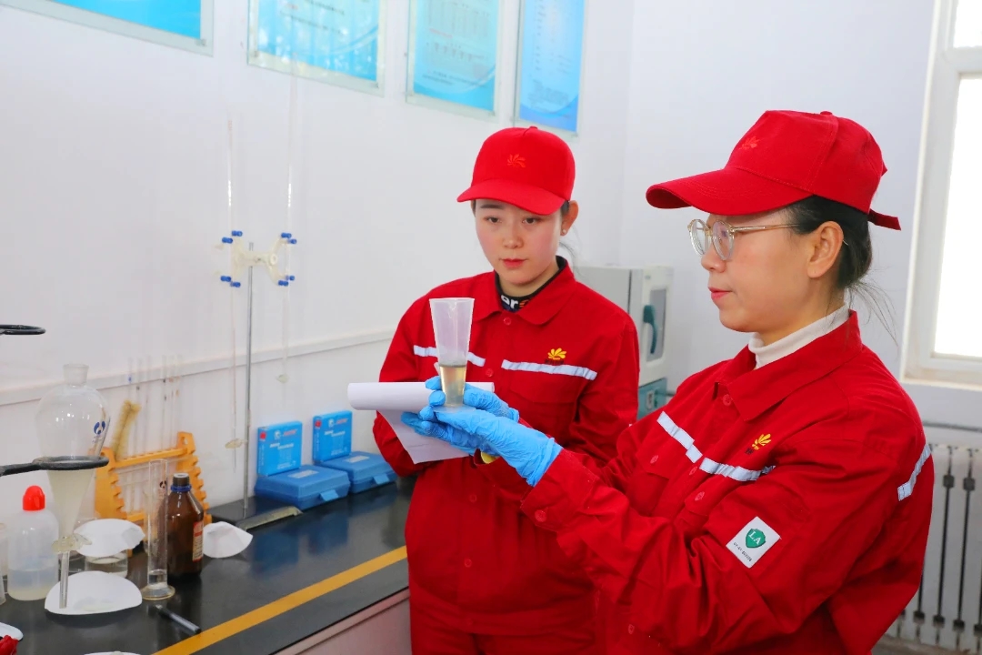 图示, 示意图

中度可信度描述已自动生成