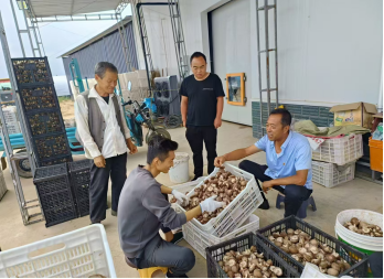 图示, 示意图

中度可信度描述已自动生成
