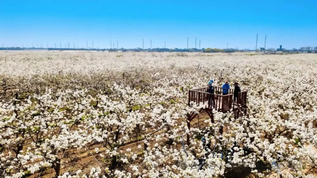 img11