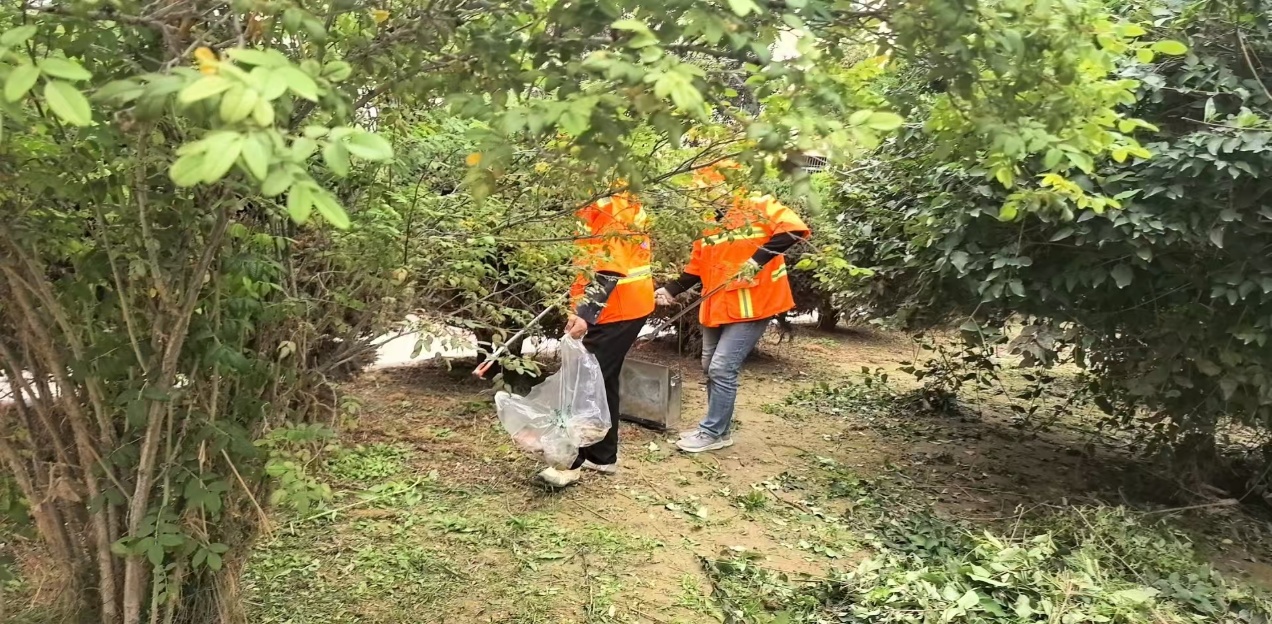 img2